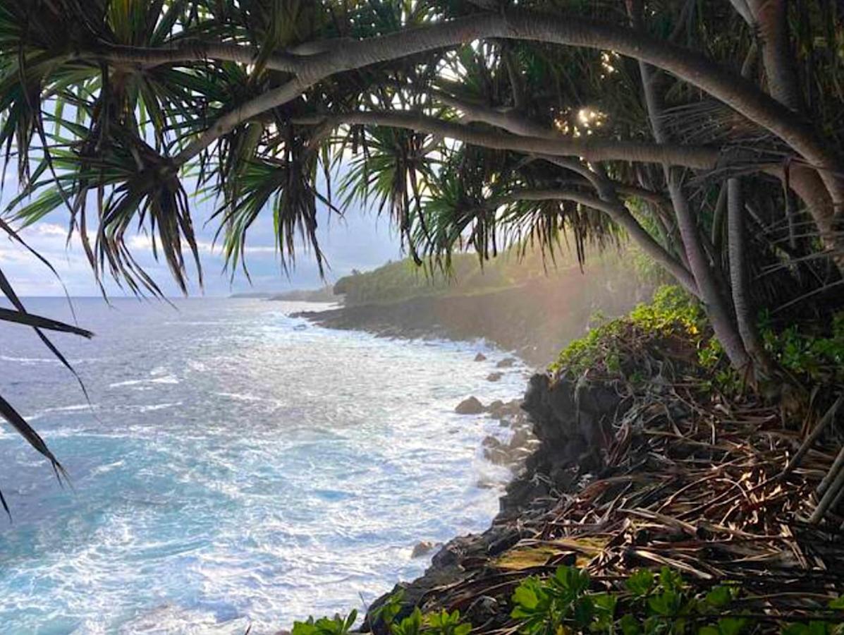 Seaside House And Aloha Bungalow Pahoa Exteriör bild