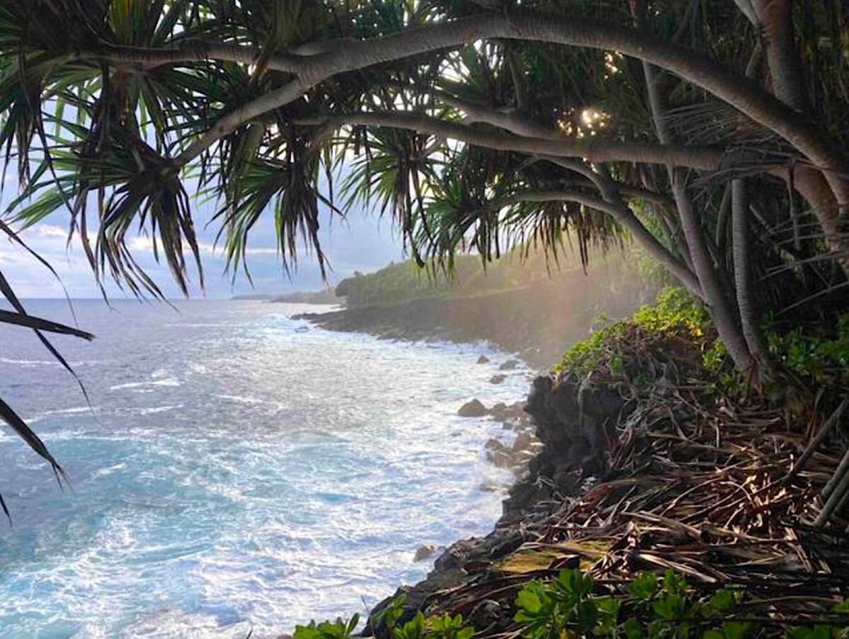 Seaside House And Aloha Bungalow Pahoa Exteriör bild